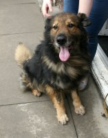 Ben - West Midlands