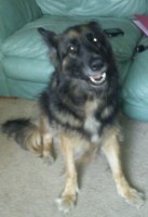 Lucy-Northants