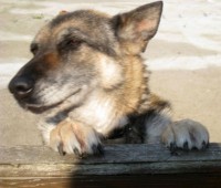 Mia - North Lincs