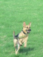 Sam - West Midlands