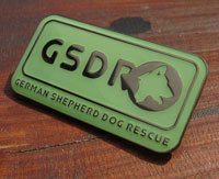 GSDR Enamel Badge