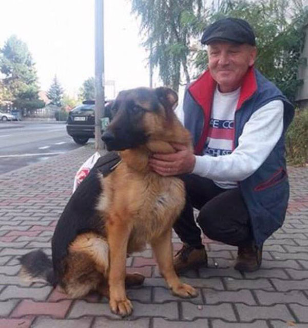 Marco GSD with his fosterer in Romania