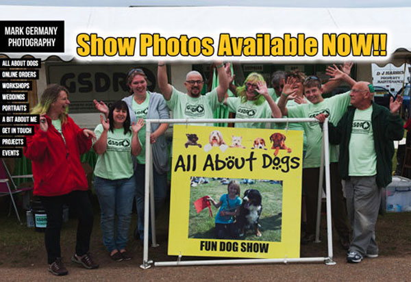 shaved heads to raise money for GSDR