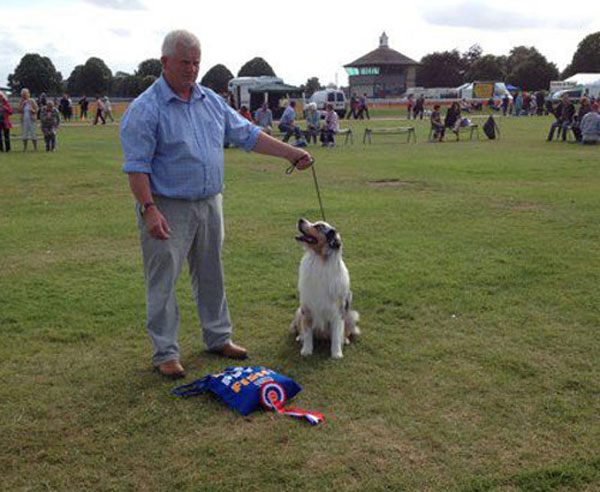 another proud dog owner with a winners rosette