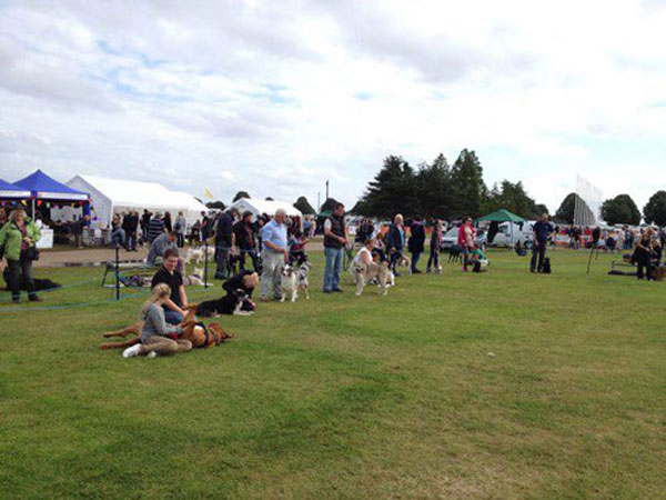 dog owners assembling for the dog show