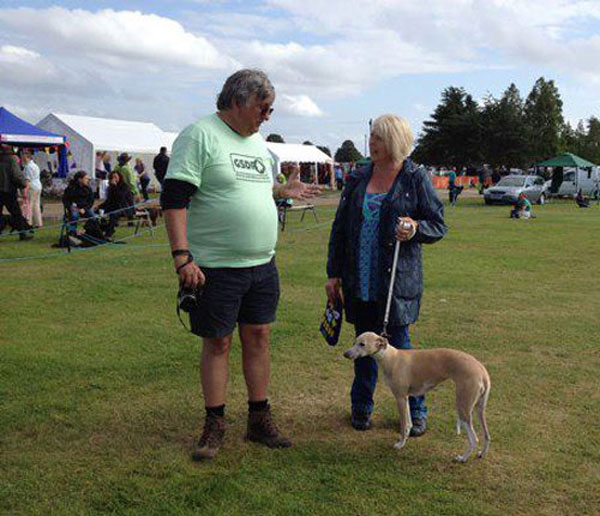 gsdr volunteer talks to a dog owner