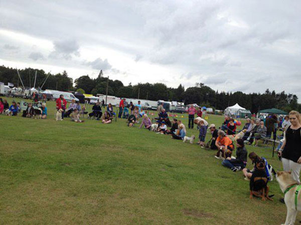 dog owners lined up with their dogs at the show