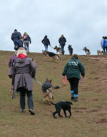 the 1st gsdr walk group