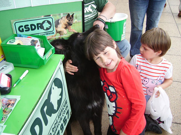 kids enjoying a pets at home fundraise for GSDR