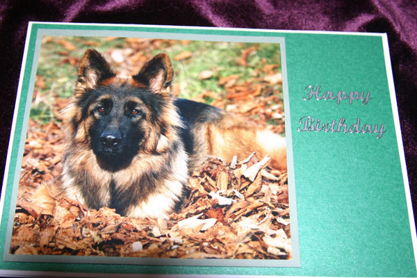 hand made cards for german shepherd dog rescue