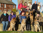 gsdr walk clubs