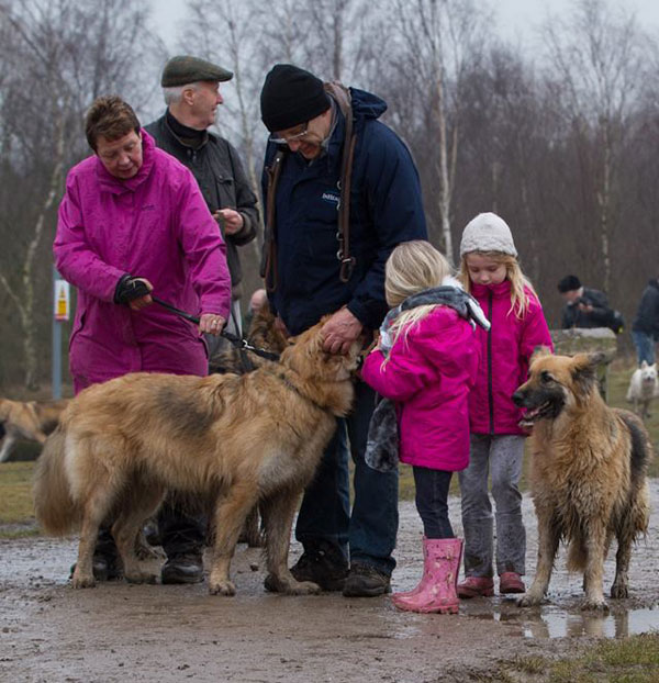 two young girls on a GSDR walk with their parents and dogs