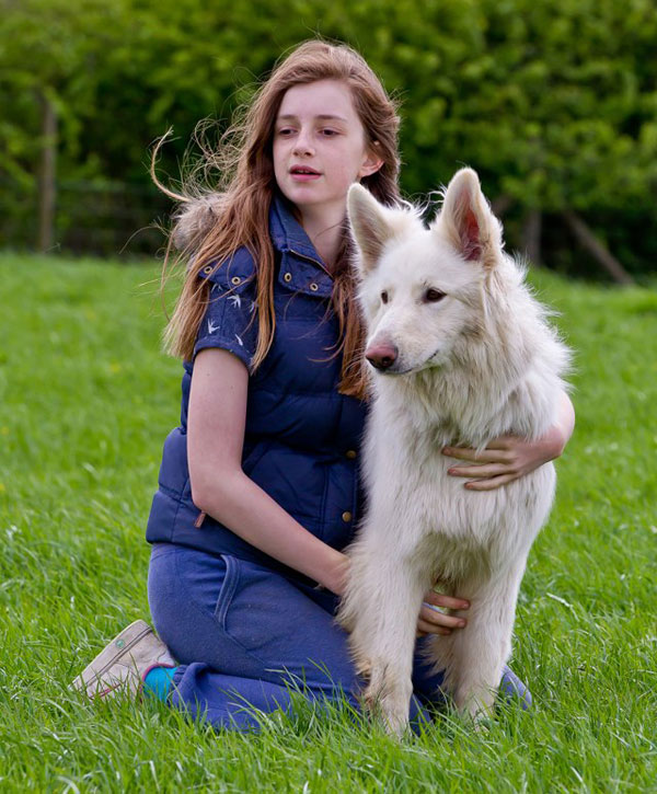 young girl with her pet white german shepherd