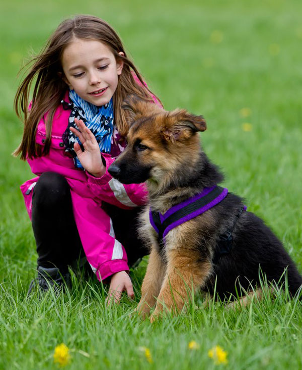 young girl teaching a puppy to sit