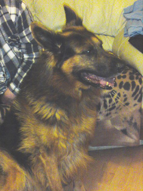 max