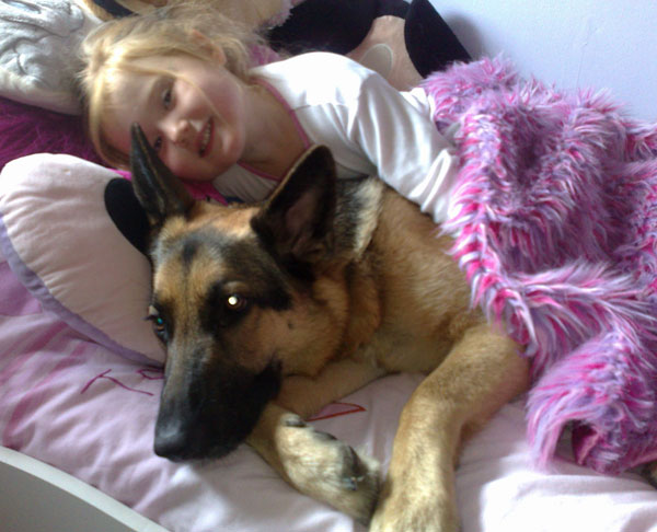little girl in bed with her german shepherd