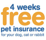 4 weeks free Pet plan insurance