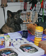 german shepherd manning the stand raising money for the rescue