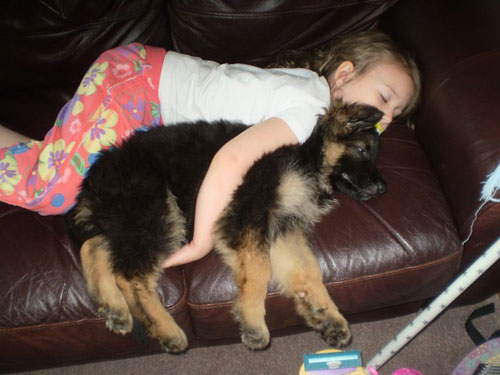 puppy asleep with little girl