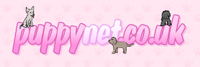 puppy net