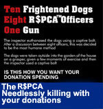 Our Dogs take up the case of the 10 GSD's slaughtered by the RSPCA