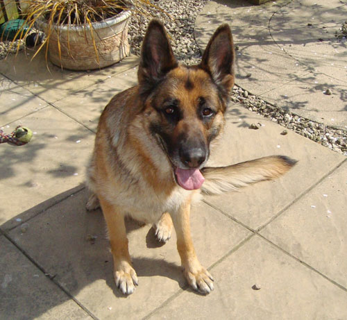 ruby gsd