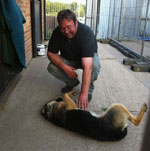 volunteer with abandoned german shepherd