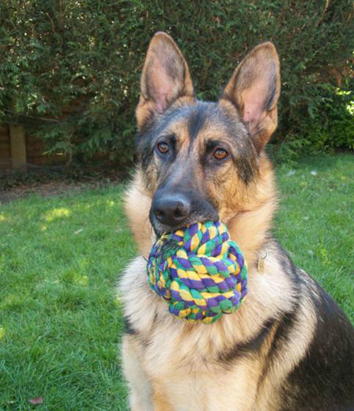 shadow gsd