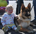 truckfest fundraising event