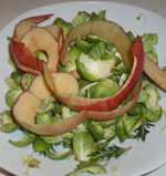natural raw food diet for dogs