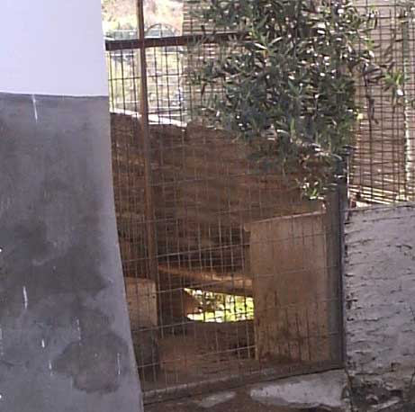 empty cage
