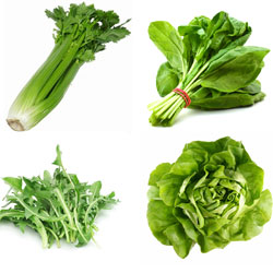 spinach, celery, lettuce and dandelion leaves are cooling leaves