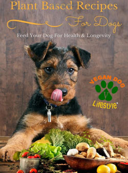 heathers costers plant based diet for dogs