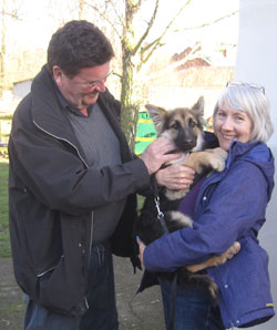 snoozy suzie the rescue german shepherd puppy has peft for her new home