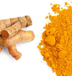 turmeric helps prevent and may cure cancer in dogs