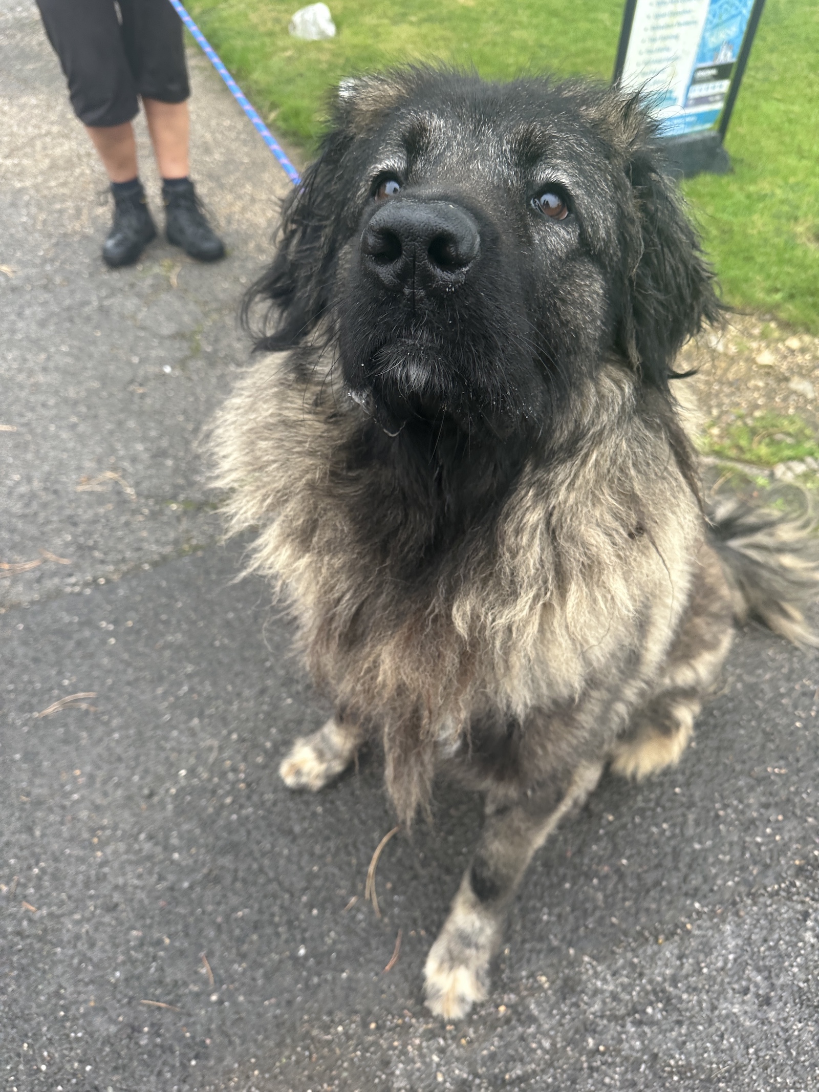 Jazz-Sleaford Jazz-Sleaford