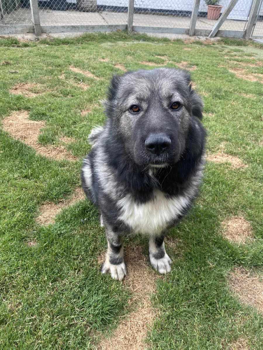 Rita- Sleaford Rita- Sleaford