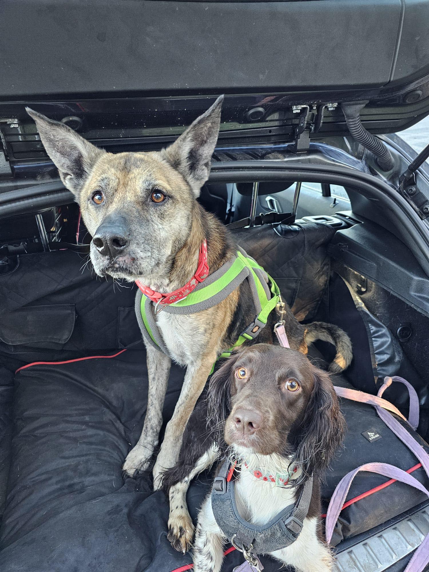 Max- Sleaford Max- Sleaford