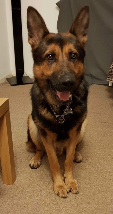 Duke - Cardiff