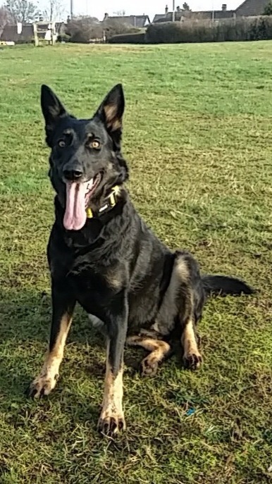 Elsa - West Yorks