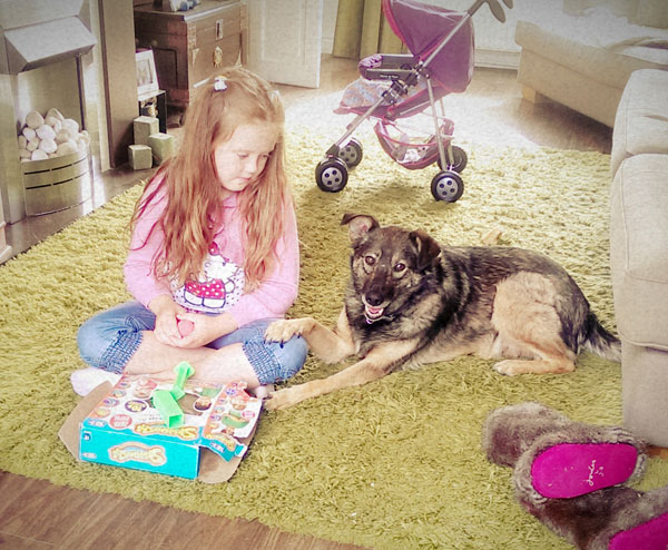 alfy the romanian dog will make a great family pet