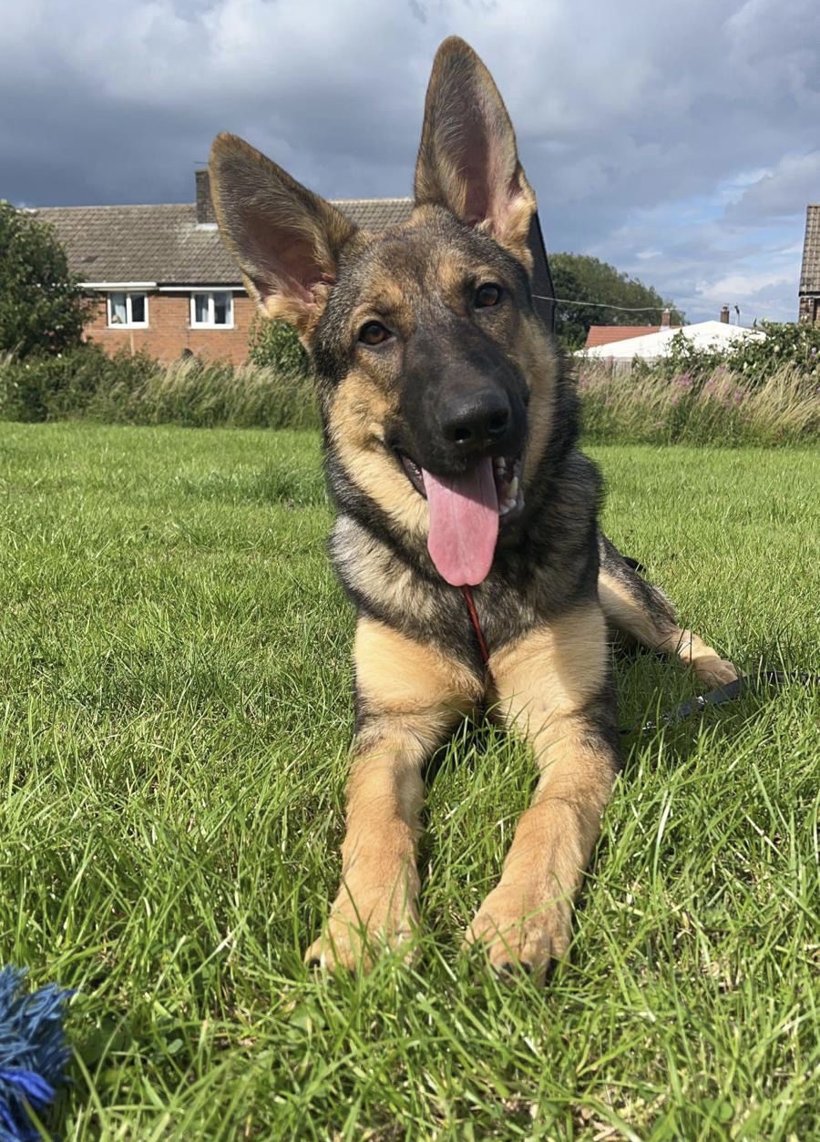 Remy - South Yorks