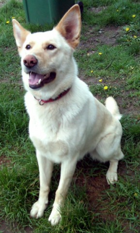Ruby - West Mids