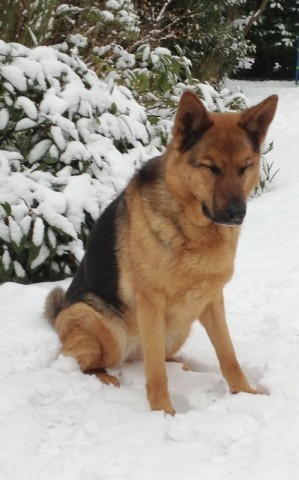 Ruby - Notts