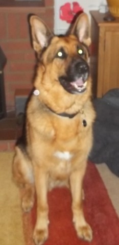 Archie-Suffolk