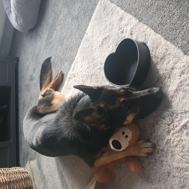 Lola - West Yorks
