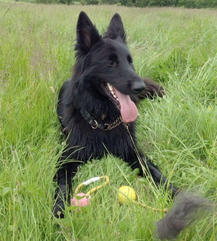 Marley - Somerset
