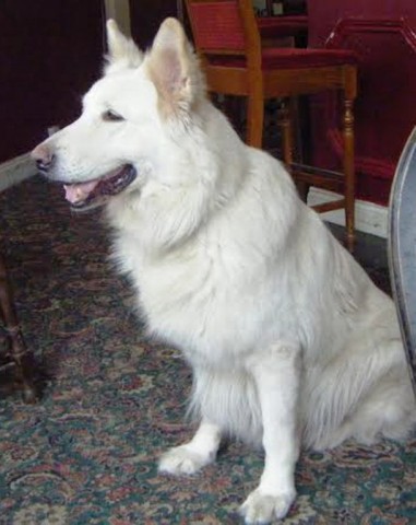 Floyd - Hampshire