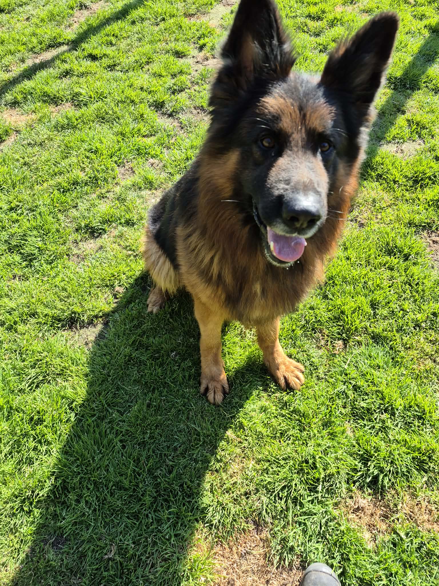 Louie-Sleaford Louie-Sleaford