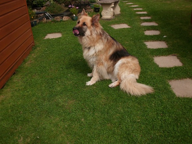 3467-ROXY_&_ZAK_-_HERTFORDSHIRE.jpg?osCsid=f268aa0e5bbfcb989f572f13e08e5c13